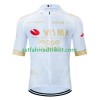 Visma Lease A Bike Radtrikot kurzarm 2024 N002